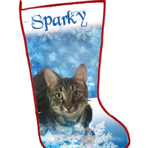Sparky Snowflakes