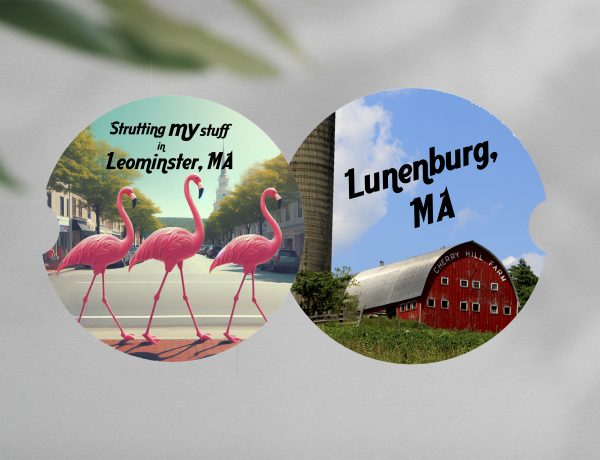 Town Car Coasters